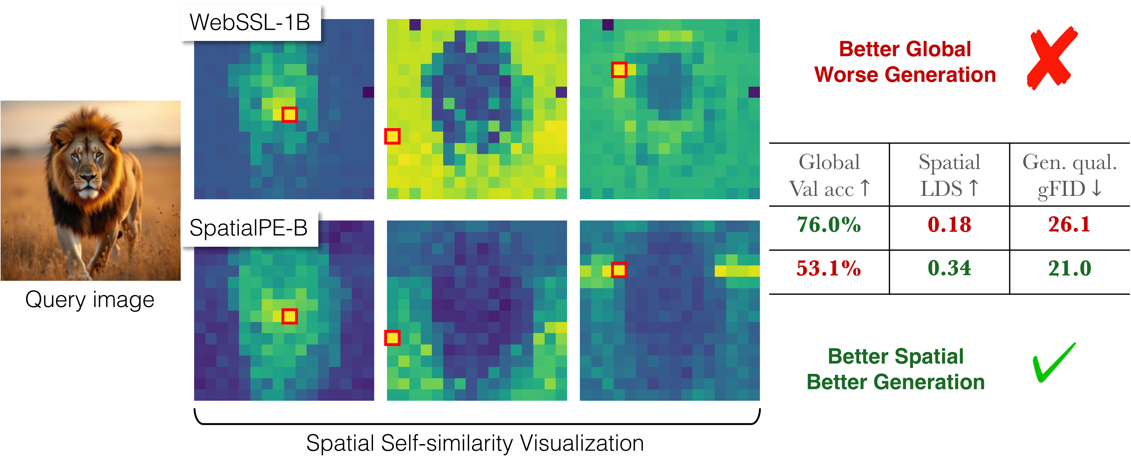 WebSSL-1B vs PE-Spatial-B comparison