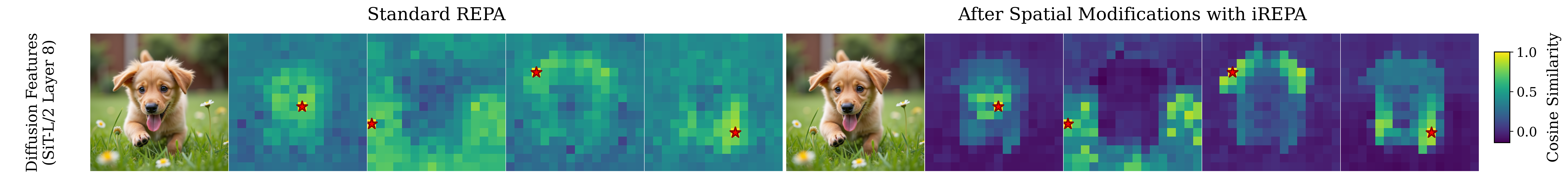 Overall impact of iREPA