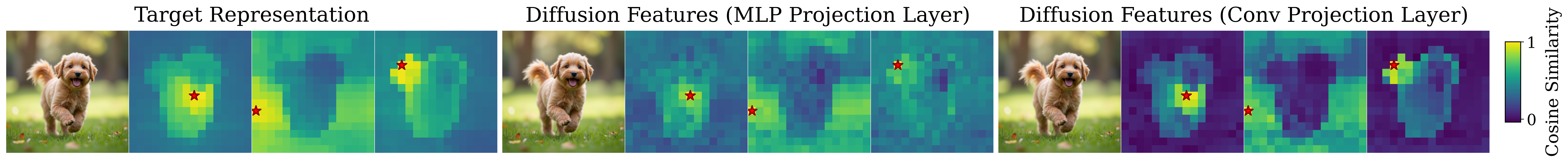 Convolution vs MLP projection comparison