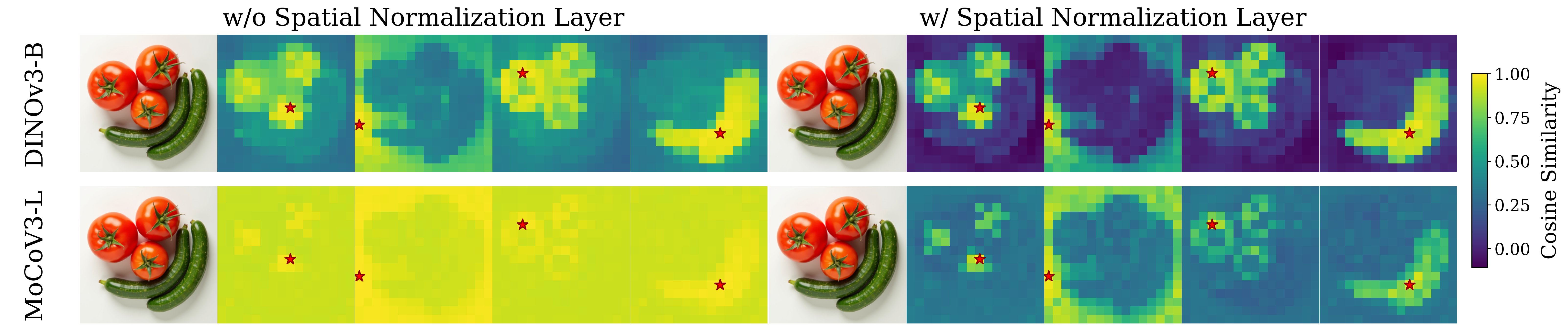 Spatial normalization effect
