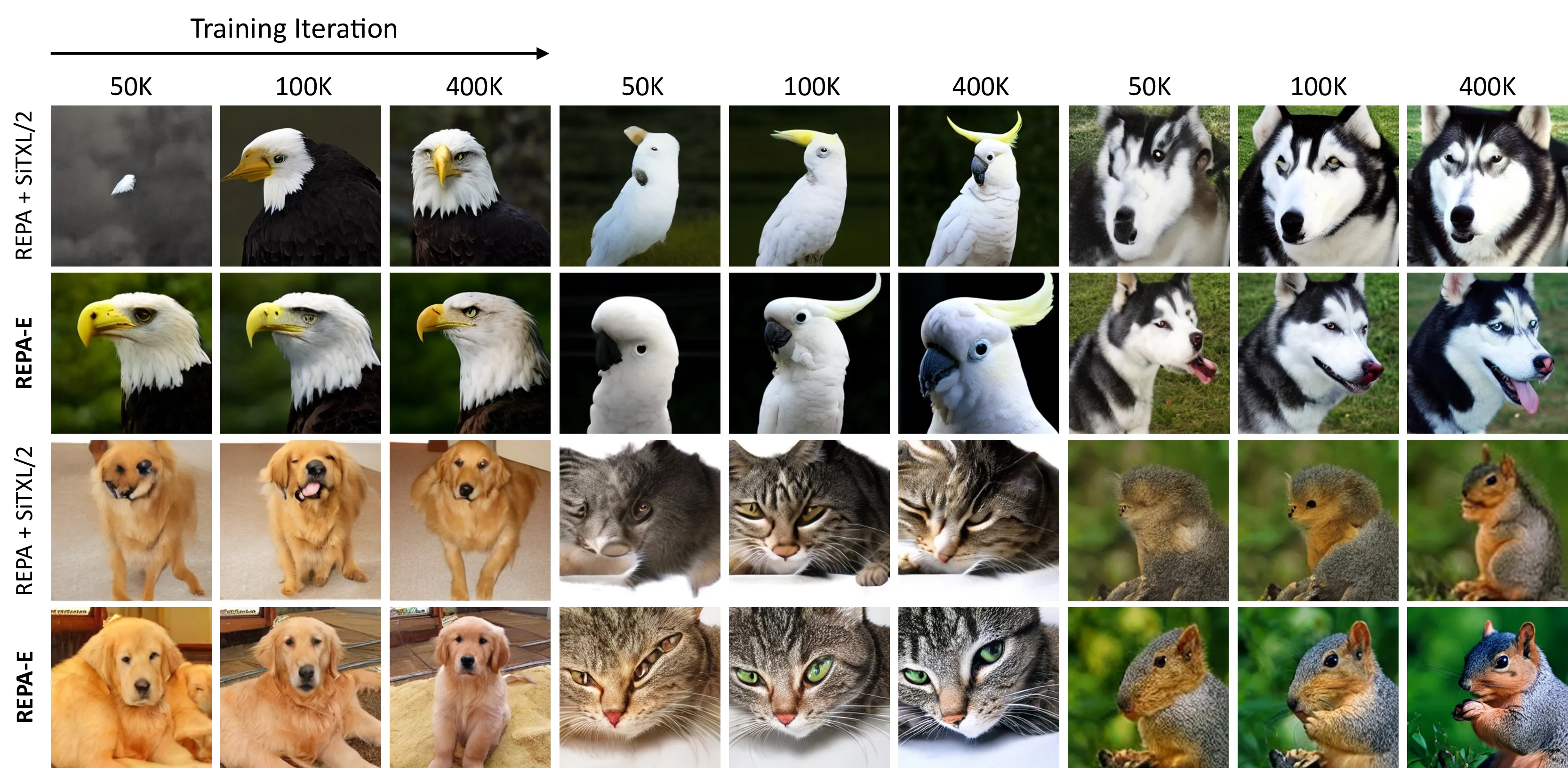Visual comparison at different iterations